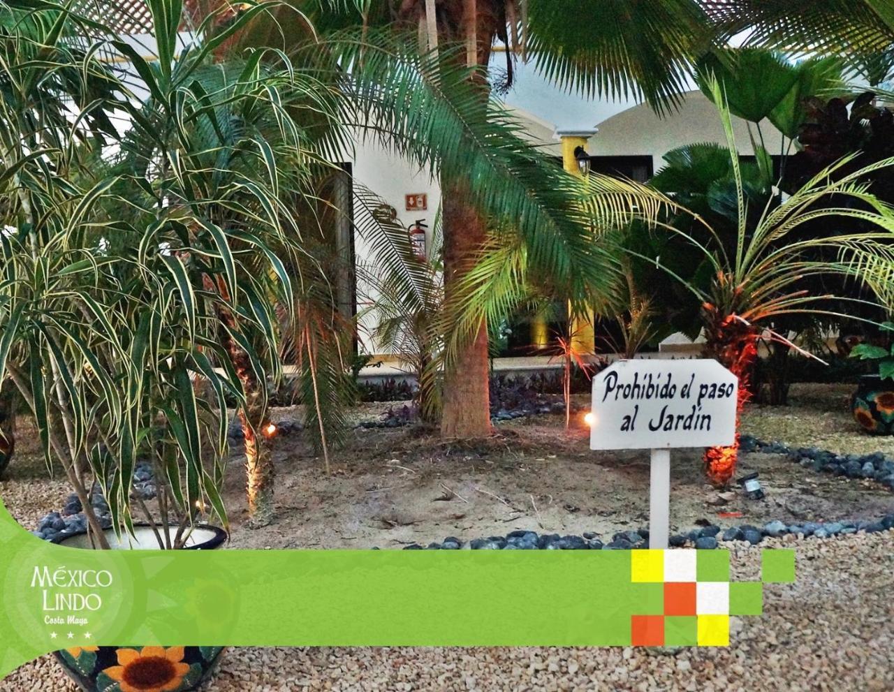 Hotel Mexico Lindo มาอาอวล ภายนอก รูปภาพ